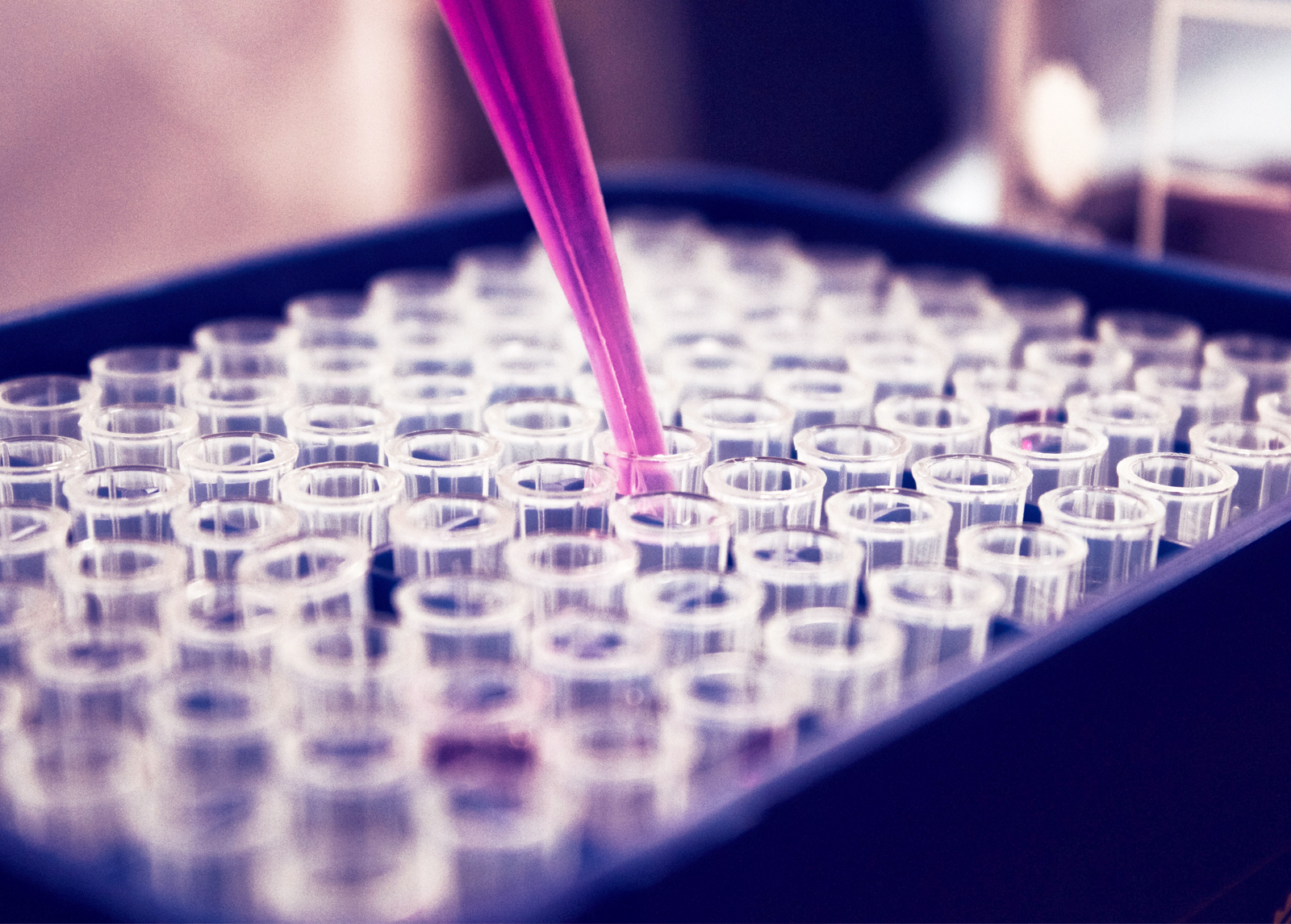 Genetic tests can provide a better picture of cardiovascular disease risk than blood tests