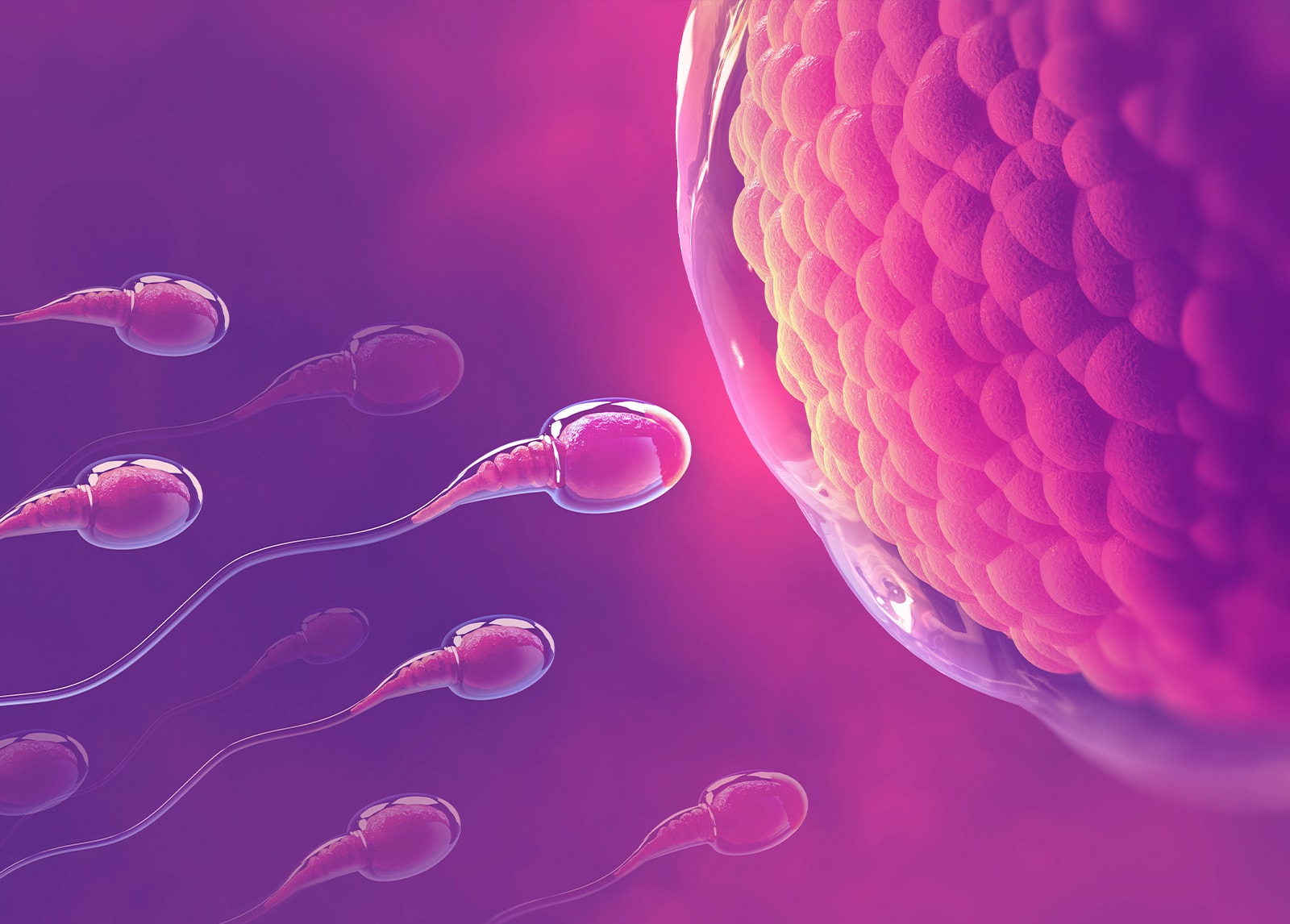 Pre-implantation genetic testing for IVF added to Medicare, Verzenio use expanded under PBS